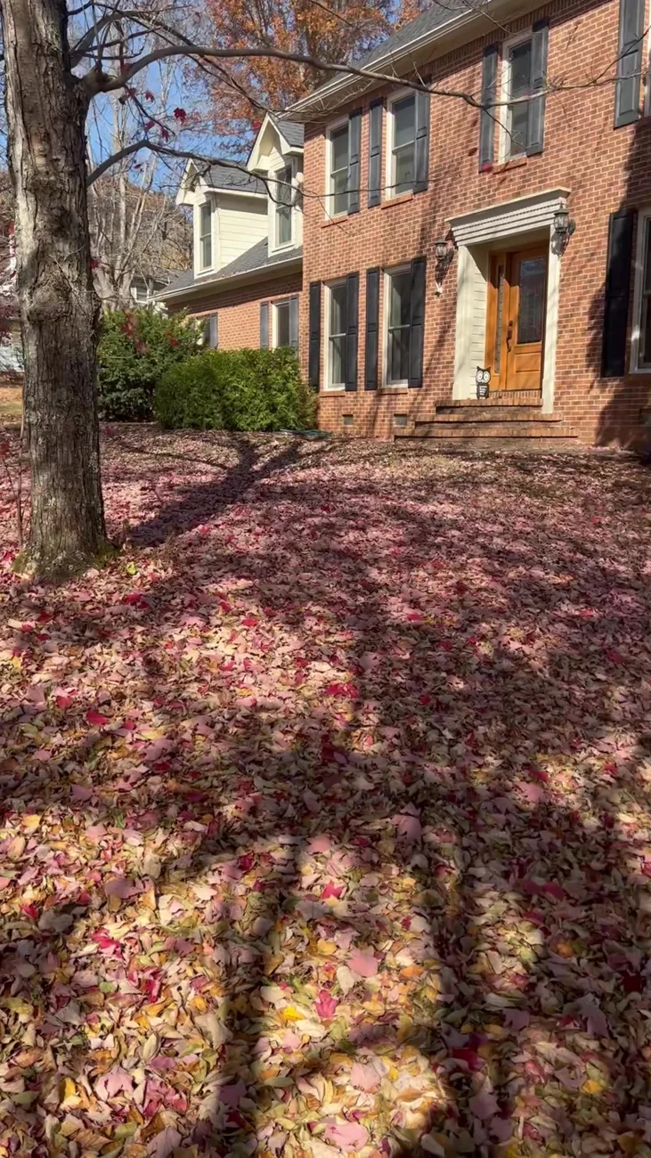 Historic before: brick-home lawn covered in fallen leaves