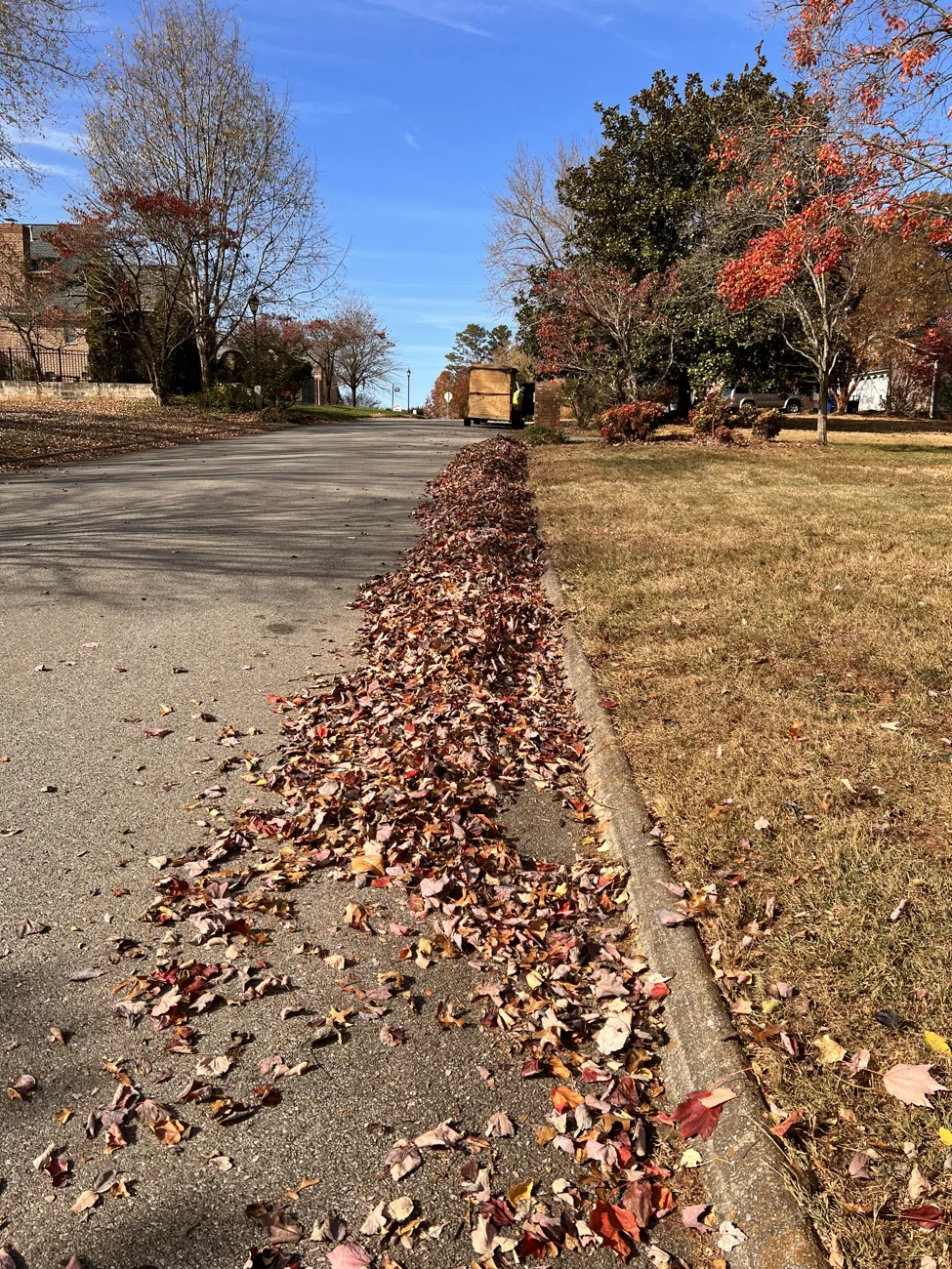 Long row of leaves staged beside a suburban curb